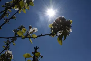 Τι καιρό θα μας κάνει την Κυριακή του Πάσχα