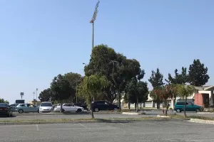  Προβλήματα στη δειγματοληψία στο ΓΣΖ