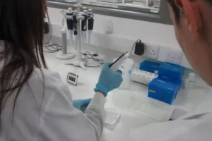 Ξεκινούν τα τεστ κορωνοϊού σε εργαζόμενους-Τι πρέπει να γνωρίζετε