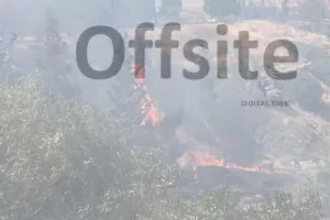Φωτιά στην Επαρχία Λευκωσίας (φώτος/βίντεο)