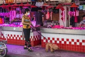 Η Ουχάν απαγορεύει την κατανάλωση άγριων ζώων!