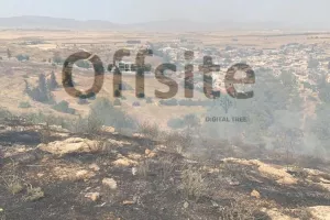 Φωτιά στην Επαρχία Λευκωσίας (φώτος/βίντεο)
