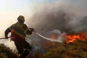 Δασική πυρκαγιά κοντά στο Γέρι