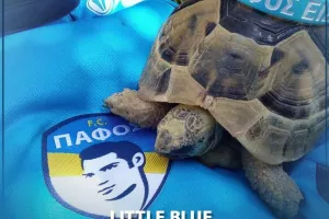 Χελώνα... με Πάφος FC