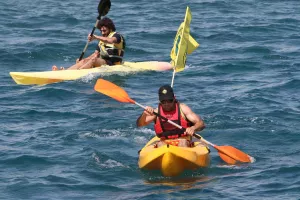 Όταν οι ΛΕΟΝΤΕΣ... κιτρίνισαν τη θάλασσα της Λεμεσού!