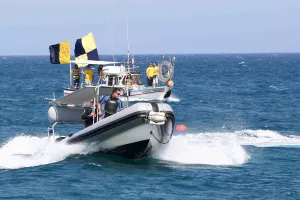 Όταν οι ΛΕΟΝΤΕΣ... κιτρίνισαν τη θάλασσα της Λεμεσού!