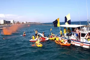 Όταν οι ΛΕΟΝΤΕΣ... κιτρίνισαν τη θάλασσα της Λεμεσού!