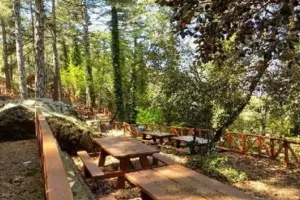 Εκδρομές μόνο υπό αυτούς τους όρους