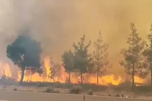Μεγάλη καταστροφή στα κατεχόμενα/Κάηκαν 5000 εκτάρια