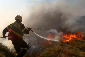 ΣΥΛΛΗΨΕΙΣ για τις πυρκαγιές