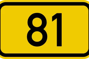81 μέρες