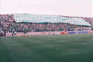 ΞΕΧΩΡΙΣΕ τον τελικό με τα... βαμμένα πράσινα μαλλιά/ "Πετύχαμε μια μεγαλειώδη νίκη" (Φώτος)