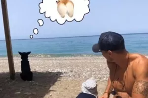 Παραλία με το σκυλί 