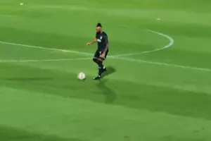 ΠΡΟΠΟΝΗΣΗ μόνος...