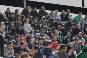 Ενδιαφέρει για Δασάκι