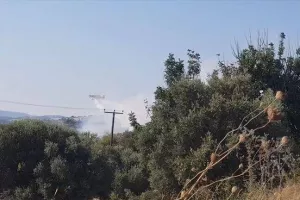 Φωτιά/Πάφος: Σε εγρήγορση για τυχόν εκκένωση κάτοικοι χωριού (ΦΩΤΟΣ)