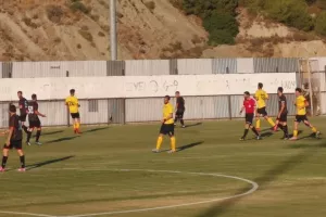 ''Καρέ'' γκολ και... νίκη για ΑΕΛ (φώτος)