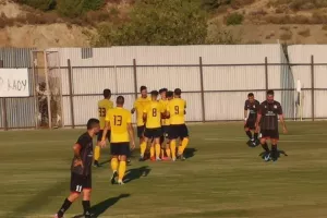 ''Καρέ'' γκολ και... νίκη για ΑΕΛ (φώτος)