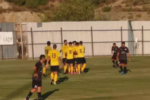 ''Καρέ'' γκολ και... νίκη για ΑΕΛ (φώτος)