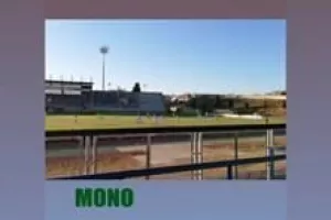 ΦΩΤΟΣ/Έτσι είδαν το ματς με την Πάφο οι φίλοι της Ομόνοιας