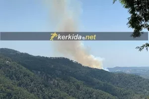(UPD) Υπό πλήρη έλεγχο η πυρκαγιά μεταξύ Πλατρών και Τροόδους