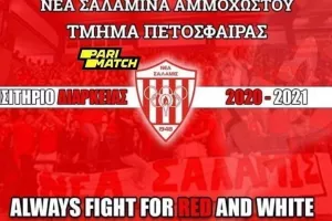 Νέα Σαλαμίνα/Τα εισιτήρια διαρκείας της πετοσφαιρικής ομάδας