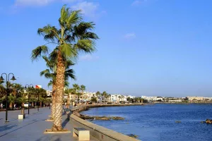7 από τα 12 κρούσματα από τυχαίους ελέγχους στην Πάφο