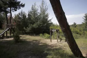 Απαγορεύονται τα αυτοκίνητα σε δασικούς δρόμους - Βαριές ποινές