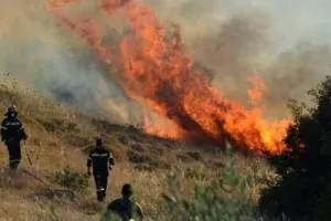 Πυρκαγιές σε ΔΙΑΦΟΡΑ σημεία στην Κύπρο/Λεπτομέρειες 