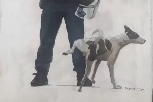 Κύριε Στέλιο...