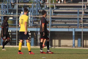 (ΦΩΤΟΣ ΚΕΡΚΙΔΑ) Το φωτορεπορτάζ της γαλαζοκίτρινης εξάρας