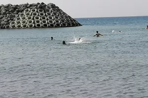 (ΦΩΤΟΣ) Προπόνηση... στο νερό 