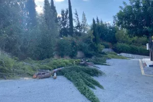Η Εθνική Γερμανίας στην Κύπρο για προετοιμασία (φώτος)