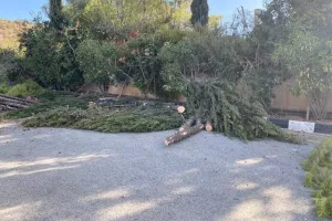 Η Εθνική Γερμανίας στην Κύπρο για προετοιμασία (φώτος)