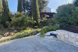 Η Εθνική Γερμανίας στην Κύπρο για προετοιμασία (φώτος)