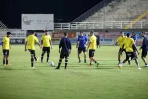 Μαυροπράσινο... διπλό με ΥΠΟΓΡΑΦΗ Φαν Κέσελ! (φώτος)