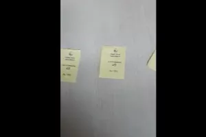 Νικητές κλήρωσης
