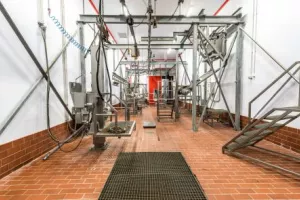 92 κρούσματα σε σφαγείο στη Λευκωσία- Οργισμένος ο Υπ. Υγείας