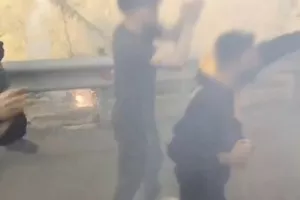 Έκαναν... χαμό οι ΑΕΛίστες! (φώτος)