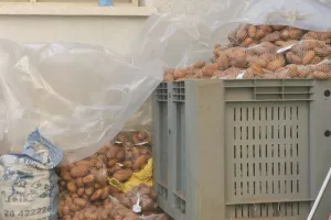 (ΦΩΤΟΣ) Παρέδωσε τα χριστουγεννιάτικα πακέτα η Κίτρινη Γραμμή 