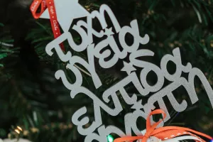 Στήριξη του Ερυθρού Αστέρα και από την Cenrury 21