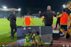 Βοζίνια απ΄τον πάγκο/ΒΙΝΤΕΟ 