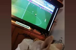 Από το σπίτι... Ομόνοια! (φώτος)