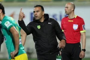 Η ανάλυση, ο σεβασμός και η ειδική αναφορά