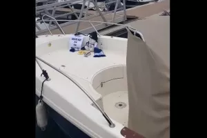 (ΒΙΝΤΕΟ) Βρέθηκε και φωνάζει "Εν θα ππέσουμεεε!"