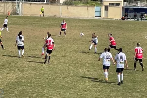 Νίκες για Καρμιώτισσα Χρυσομηλιά και ΑΕΛ Champions