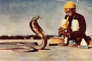 ΣΚΛΗΡΟ ΕΡΓΟ...