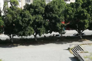 Αστυνομία στο Τσίρειο (φώτος)