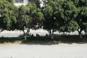 Αστυνομία στο Τσίρειο (φώτος)