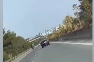 Οι αναρτήσεις του "πράσινου λαού"